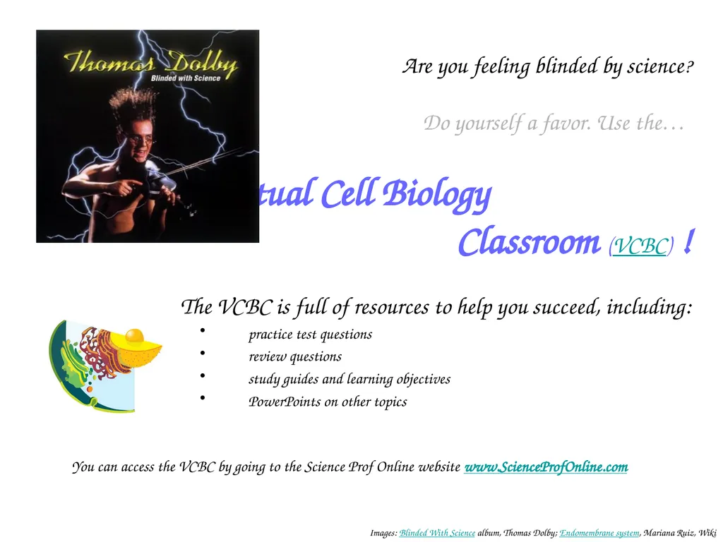 About Science Prof Online PowerPoint Resources - slide 22 of 22