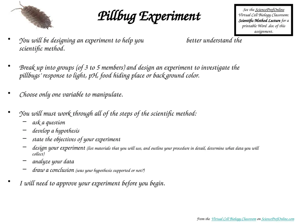 About Science Prof Online PowerPoint Resources - slide 21 of 22