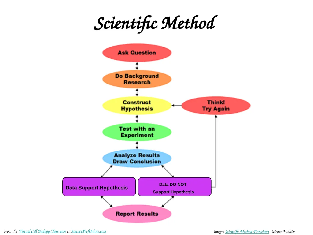 About Science Prof Online PowerPoint Resources - slide 11 of 22