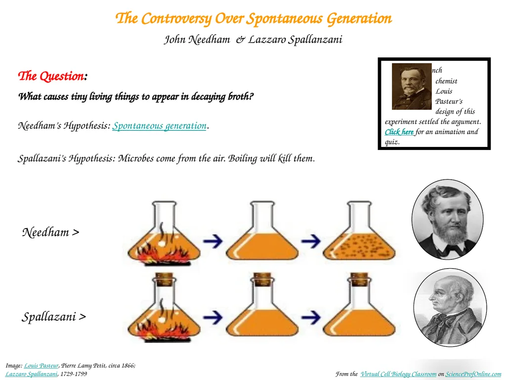 About Science Prof Online PowerPoint Resources - slide 9 of 22