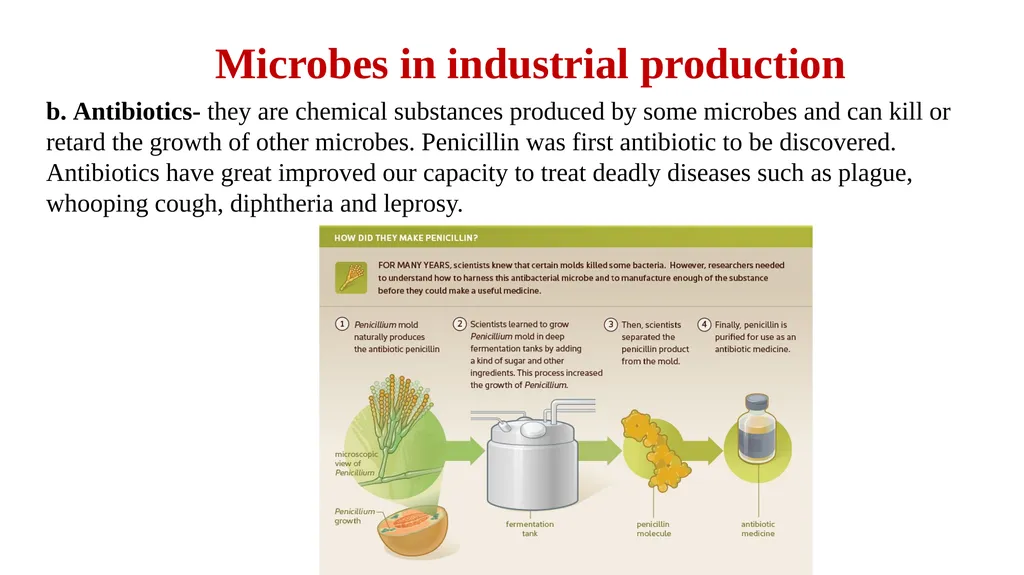 CLASS – 12 SUBJECT – BIOLOGY CHAPTER – 8 CONCEPT - slide 9 of 19