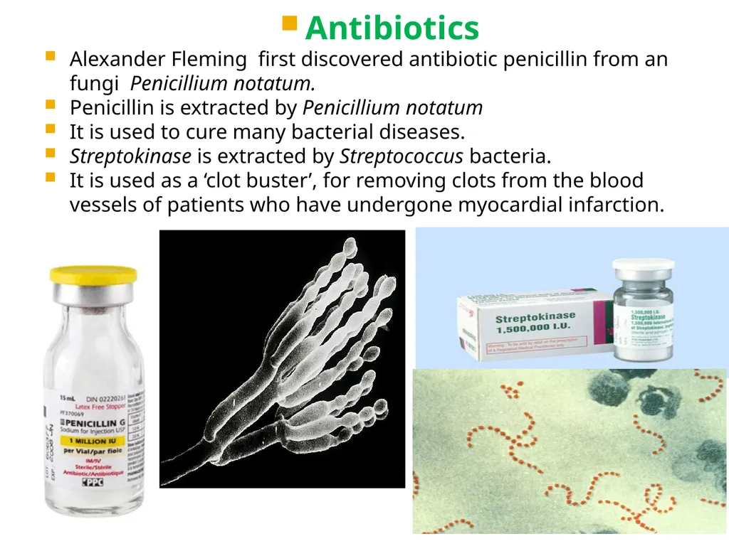 Chapter 10 Microbes in Human Welfare USEFUL - slide 26 of 66