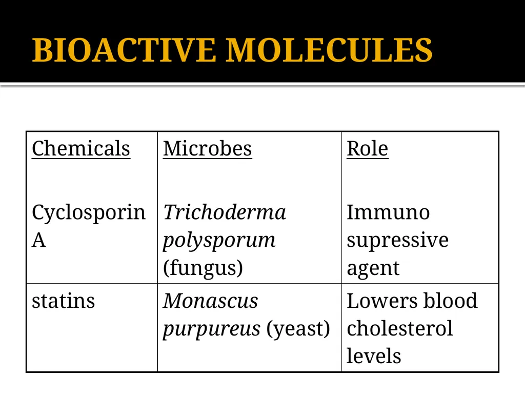 Chapter 10 Microbes in Human Welfare USEFUL - slide 33 of 66