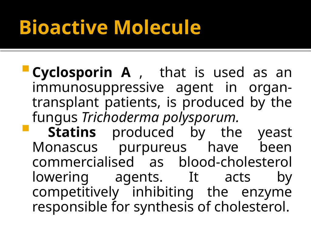 Chapter 10 Microbes in Human Welfare USEFUL - slide 35 of 66