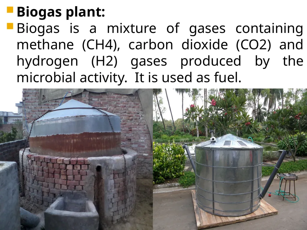 Chapter 10 Microbes in Human Welfare USEFUL - slide 45 of 66
