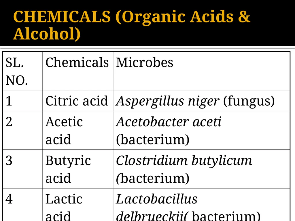 Chapter 10 Microbes in Human Welfare USEFUL - slide 29 of 66