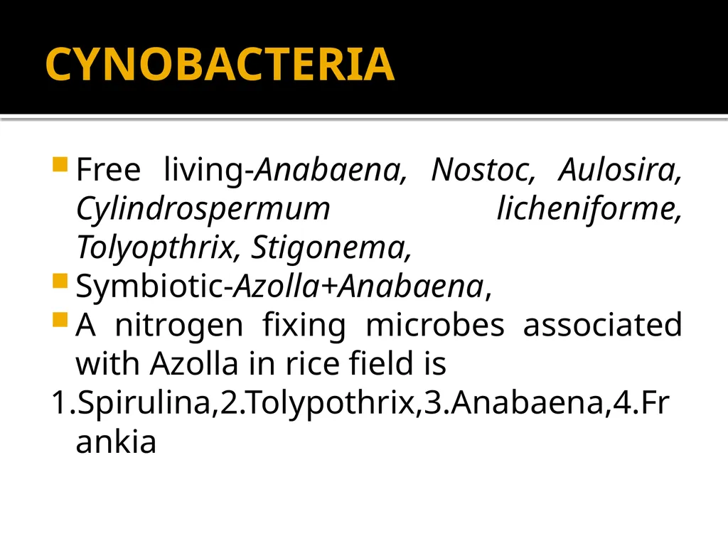 Chapter 10 Microbes in Human Welfare USEFUL - slide 61 of 66