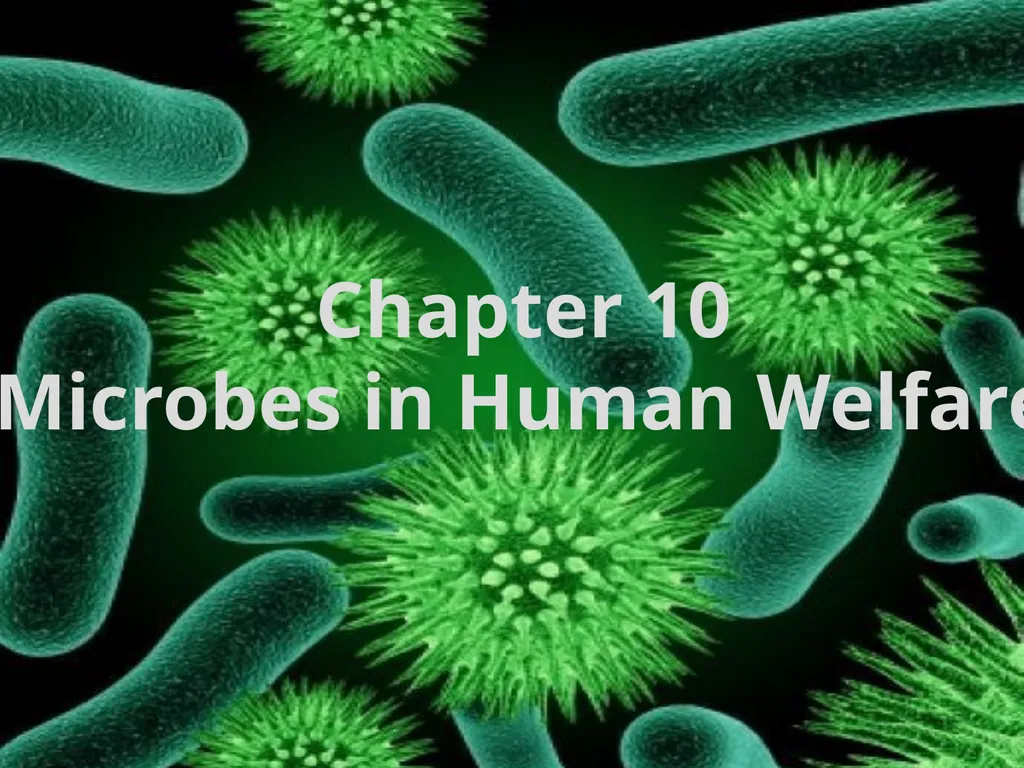 Chapter 10 Microbes in Human Welfare USEFUL - slide 1 of 66