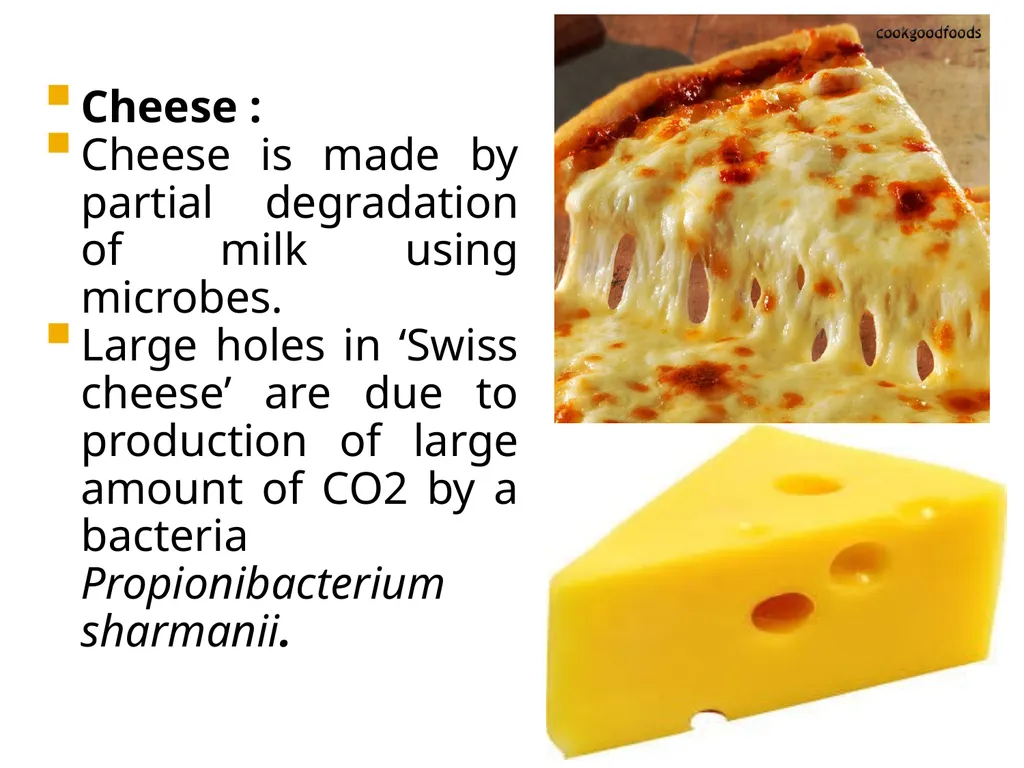 Chapter 10 Microbes in Human Welfare USEFUL - slide 13 of 66