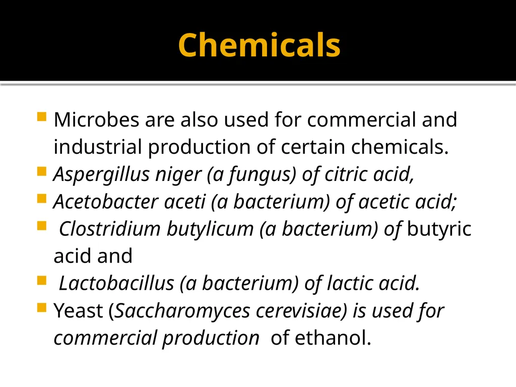 Chapter 10 Microbes in Human Welfare USEFUL - slide 30 of 66