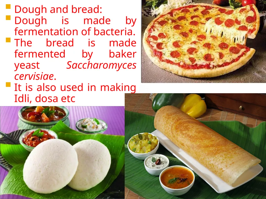 Chapter 10 Microbes in Human Welfare USEFUL - slide 10 of 66