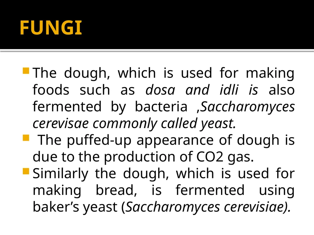 Chapter 10 Microbes in Human Welfare USEFUL - slide 9 of 66