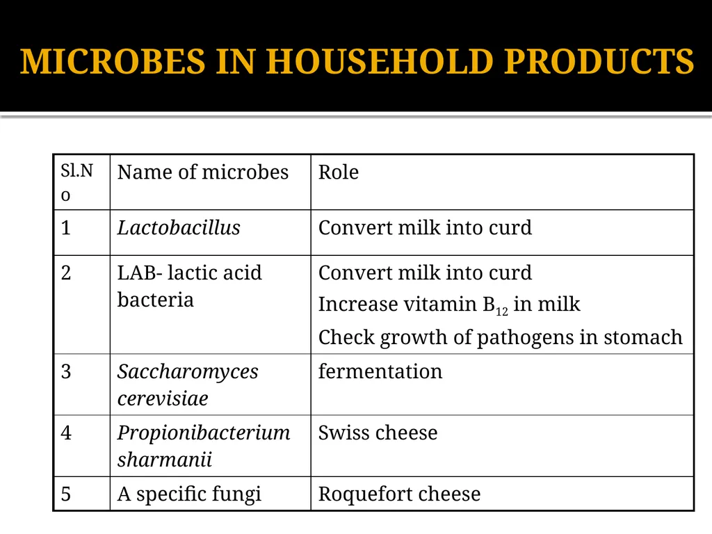 Chapter 10 Microbes in Human Welfare USEFUL - slide 5 of 66