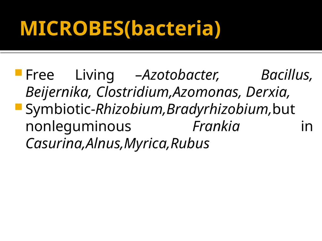 Chapter 10 Microbes in Human Welfare USEFUL - slide 60 of 66