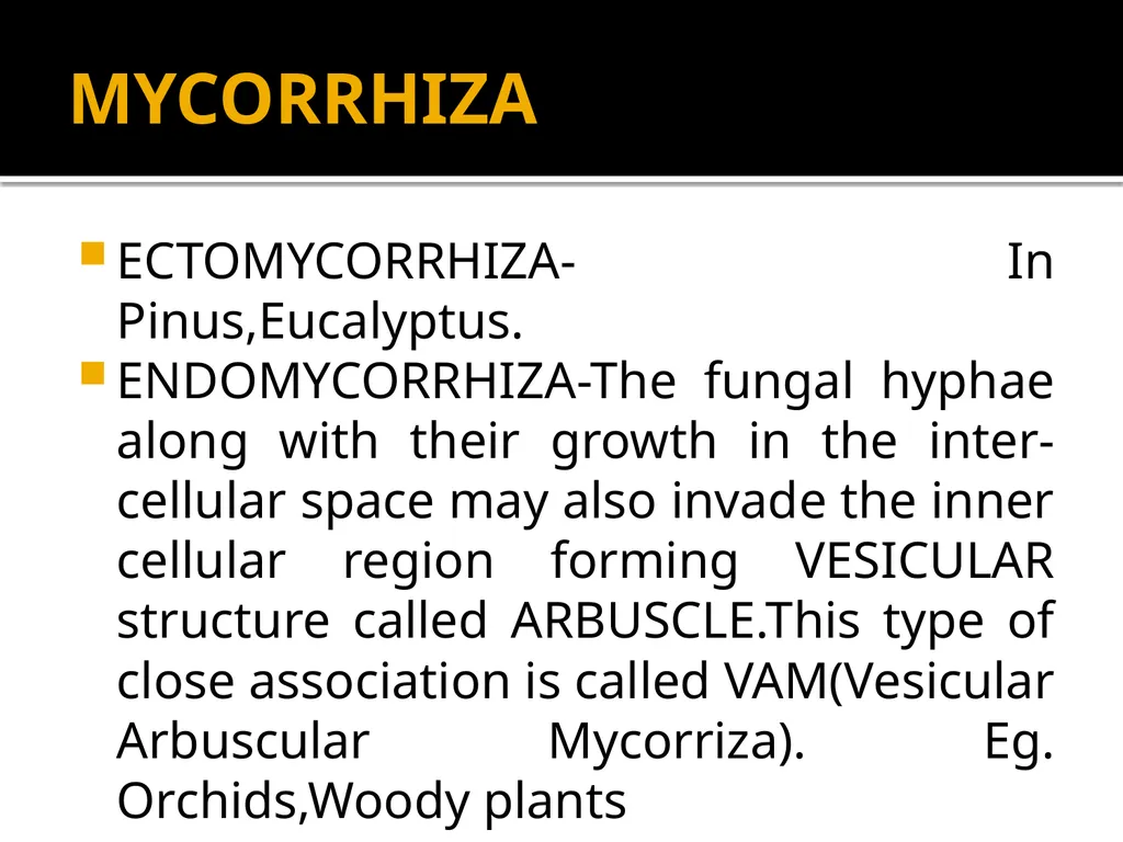 Chapter 10 Microbes in Human Welfare USEFUL - slide 56 of 66