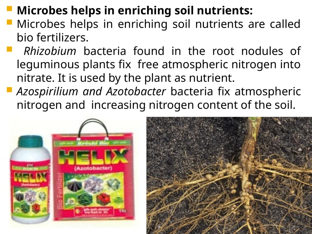 Chapter 10 Microbes in Human Welfare USEFUL - slide 54 of 66