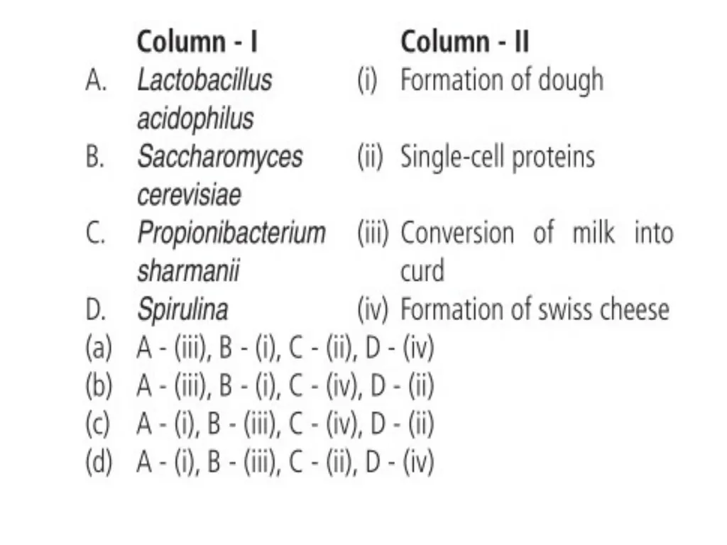 Chapter 10 Microbes in Human Welfare USEFUL - slide 14 of 66