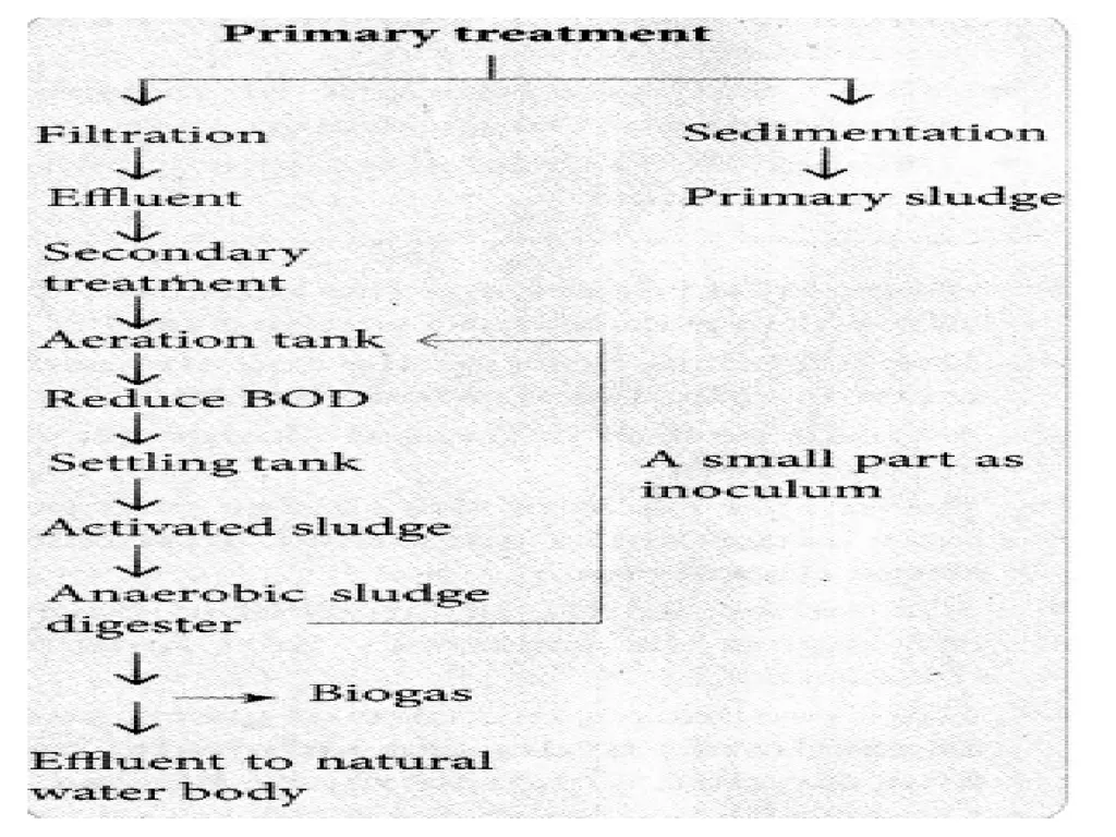 Chapter 10 Microbes in Human Welfare USEFUL - slide 38 of 66