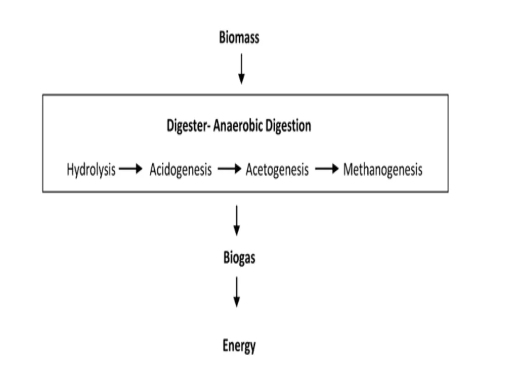 Chapter 10 Microbes in Human Welfare USEFUL - slide 46 of 66