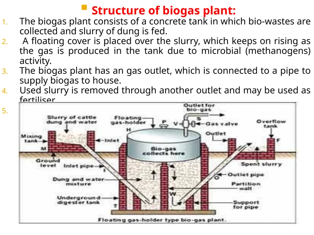 Chapter 10 Microbes in Human Welfare USEFUL - slide 50 of 66