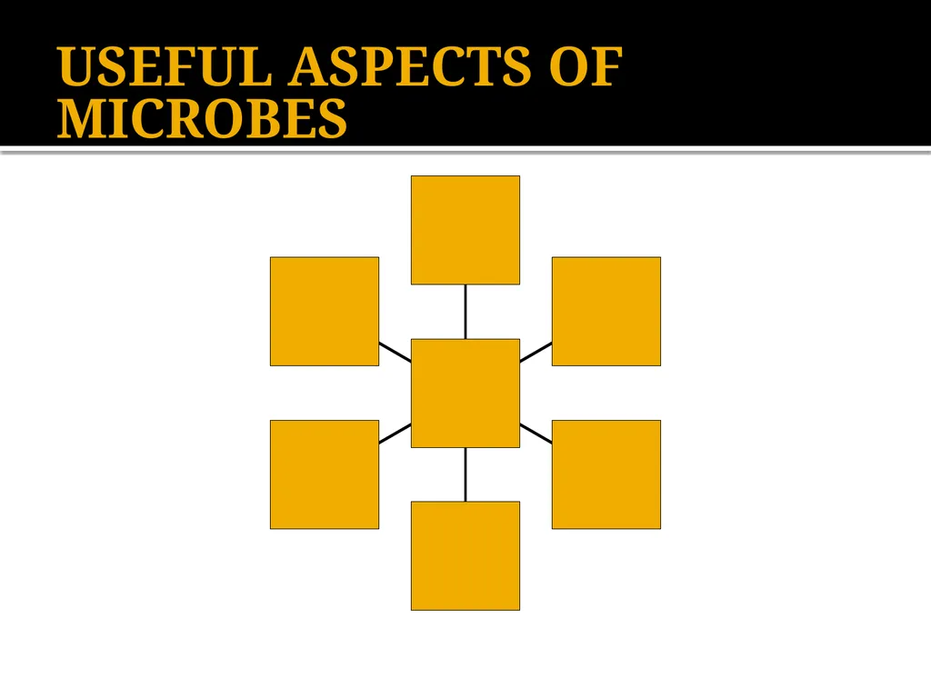 Chapter 10 Microbes in Human Welfare USEFUL - slide 2 of 66