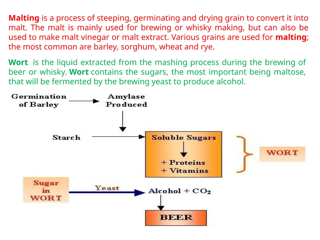 Chapter 10 Microbes in Human Welfare USEFUL - slide 22 of 66