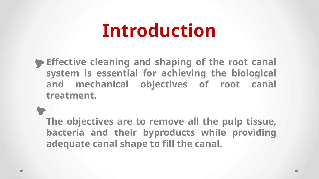 Rotary NiTi File Systems Prof. Dr. Biland MS - slide 2 of 41