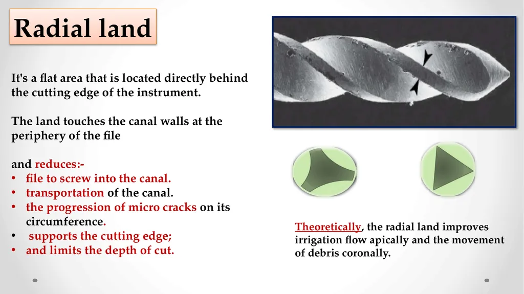 Rotary NiTi File Systems Prof. Dr. Biland MS - slide 14 of 41