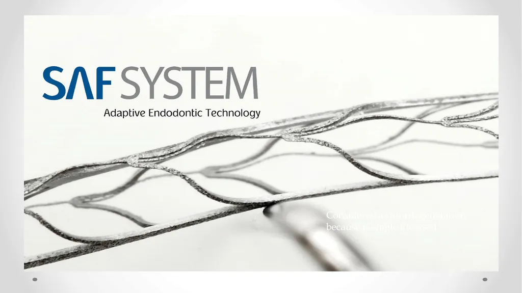 Rotary NiTi File Systems Prof. Dr. Biland MS - slide 35 of 41