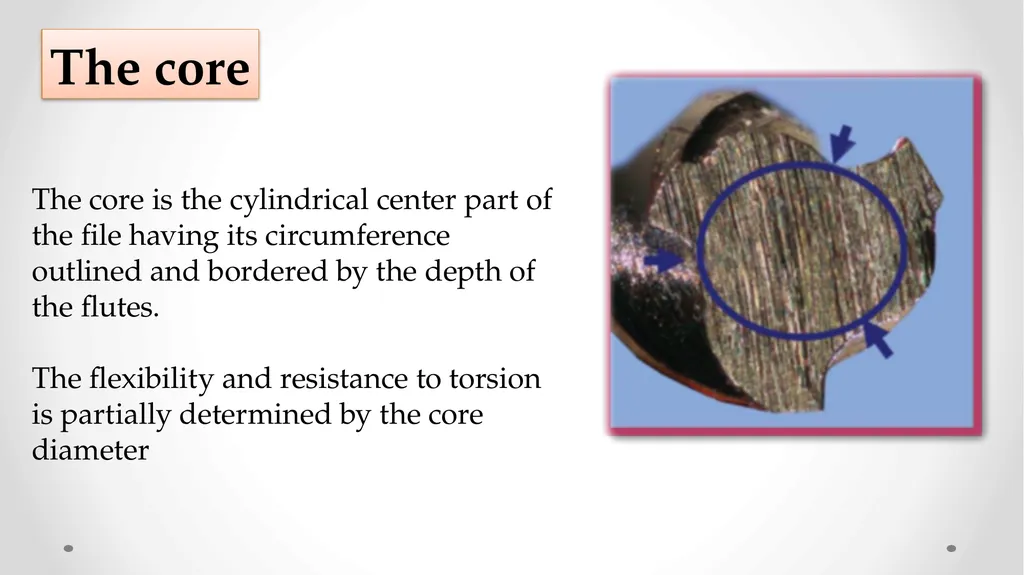 Rotary NiTi File Systems Prof. Dr. Biland MS - slide 16 of 41