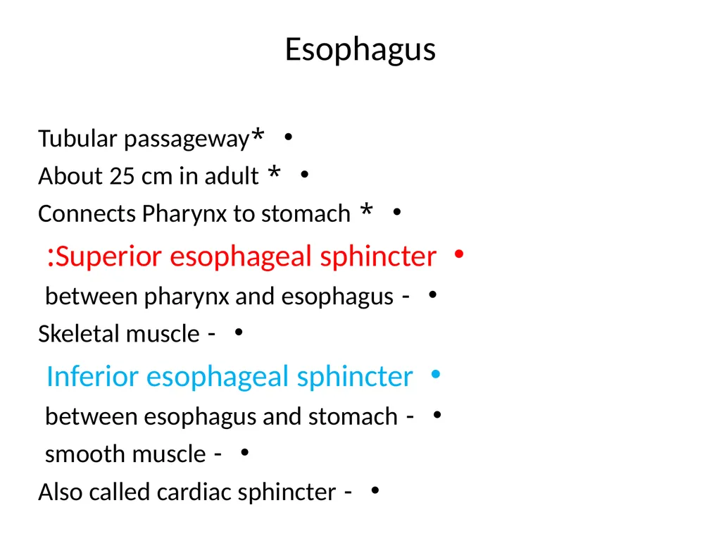 Gastroitestinal tracts( GIT ) part 1))practical - slide 13 of 20
