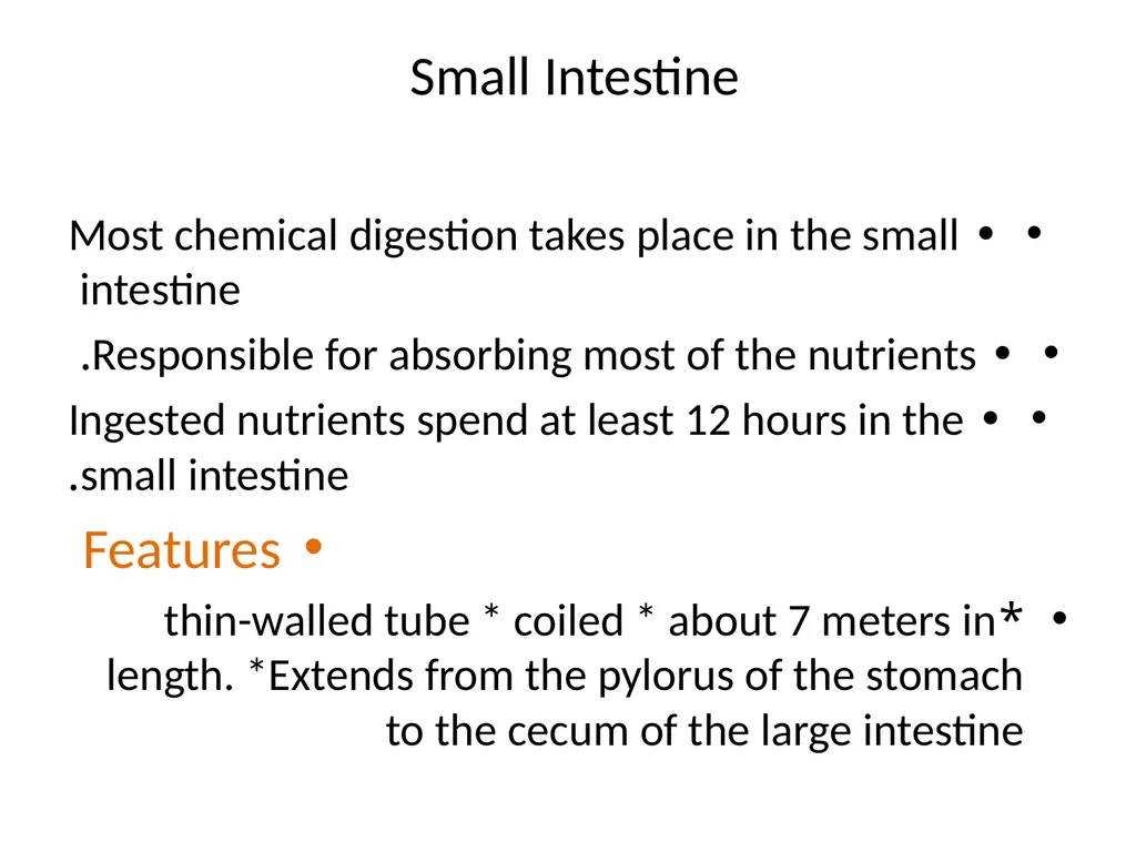 Gastroitestinal tracts( GIT ) part 1))practical - slide 18 of 20