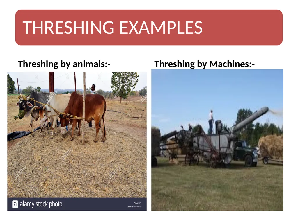 SEPARATION OF SUBSTANCES SCIENCE CLASS 6 - slide 12 of 32