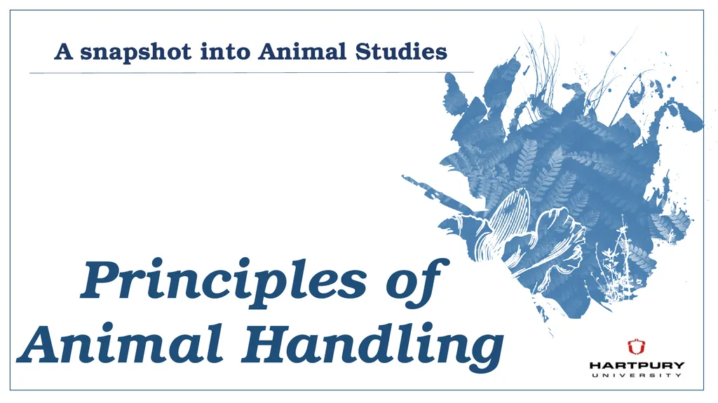 A snapshot into Animal Studies Principles of - slide 1 of 19