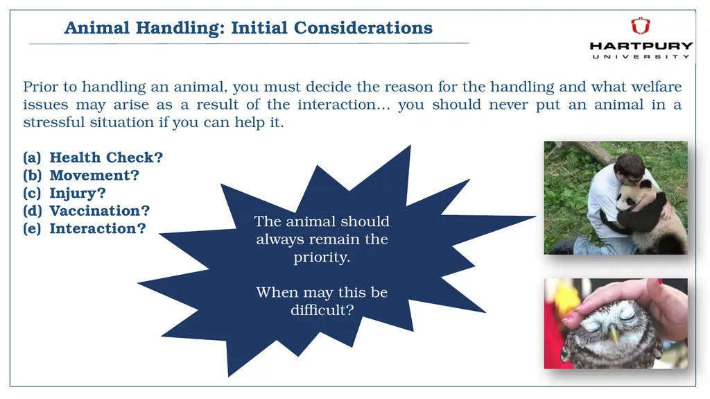 A snapshot into Animal Studies Principles of - slide 3 of 19