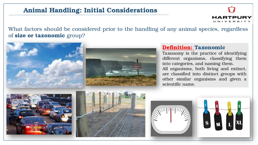 A snapshot into Animal Studies Principles of - slide 4 of 19