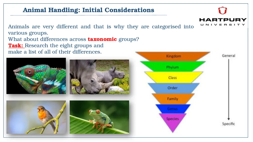 A snapshot into Animal Studies Principles of - slide 5 of 19