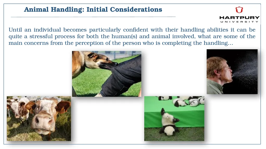 A snapshot into Animal Studies Principles of - slide 6 of 19