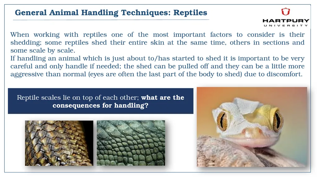 A snapshot into Animal Studies Principles of - slide 12 of 19