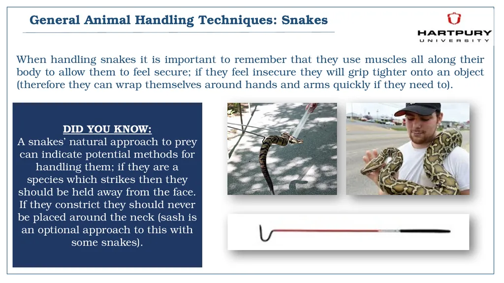 A snapshot into Animal Studies Principles of - slide 13 of 19