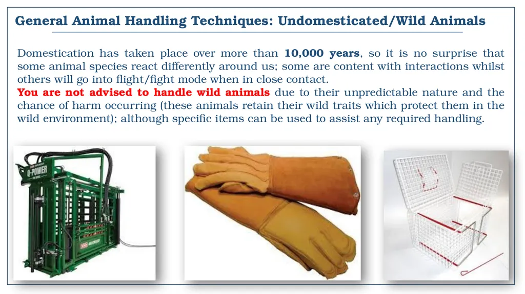 A snapshot into Animal Studies Principles of - slide 17 of 19