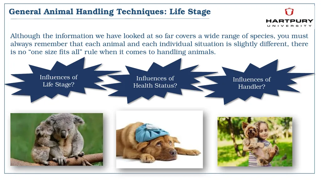 A snapshot into Animal Studies Principles of - slide 18 of 19