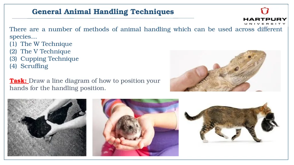 A snapshot into Animal Studies Principles of - slide 8 of 19