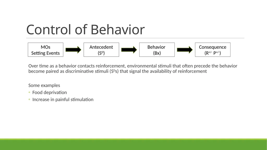 Skill-Based Treatment for Severe Problem Behavior - slide 19 of 69