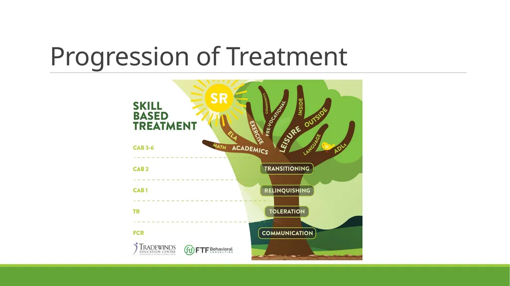 Skill-Based Treatment for Severe Problem Behavior - slide 39 of 69
