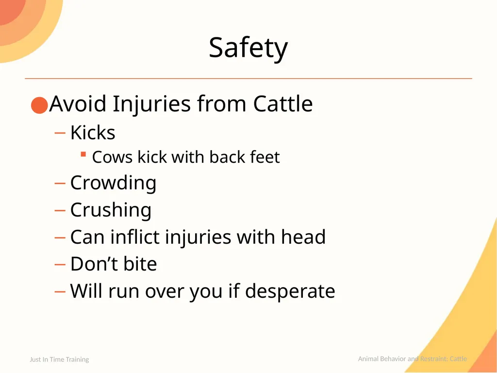 Animal Behavior and Restraint Cattle Cattle - slide 13 of 15