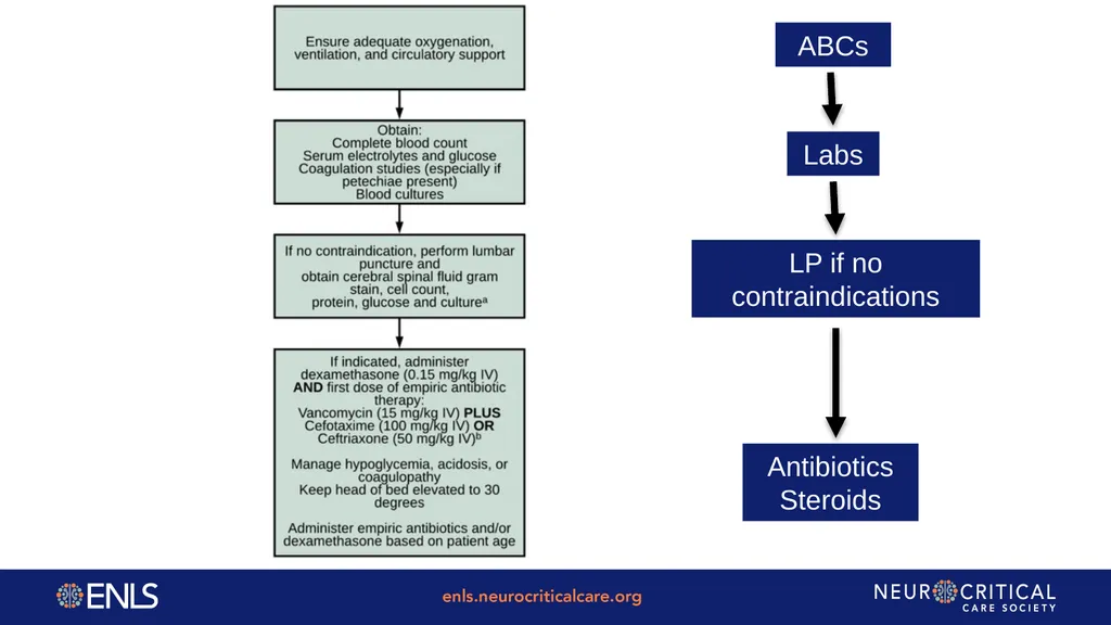 ENLS Version 5.0 Meningitis And Encephalitis - slide 9 of 39