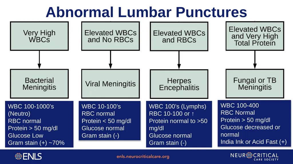 ENLS Version 5.0 Meningitis And Encephalitis - slide 17 of 39
