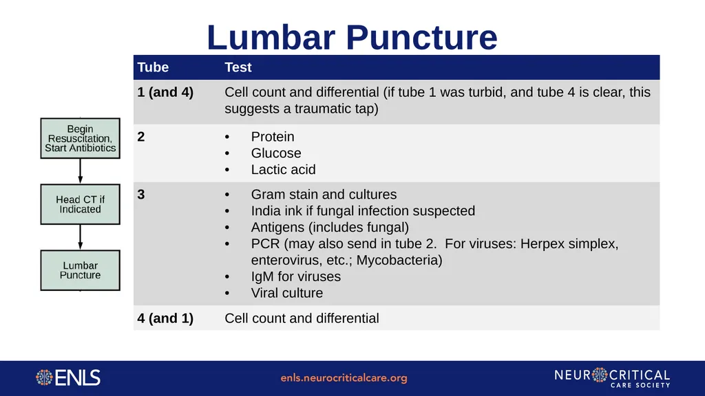 ENLS Version 5.0 Meningitis And Encephalitis - slide 15 of 39