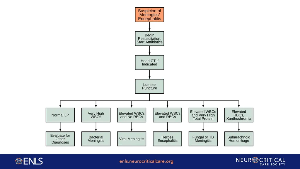 ENLS Version 5.0 Meningitis And Encephalitis - slide 29 of 39